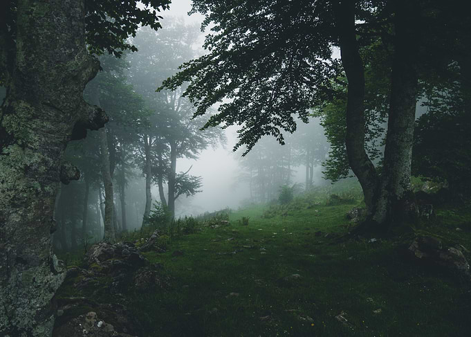 Magic Iraty