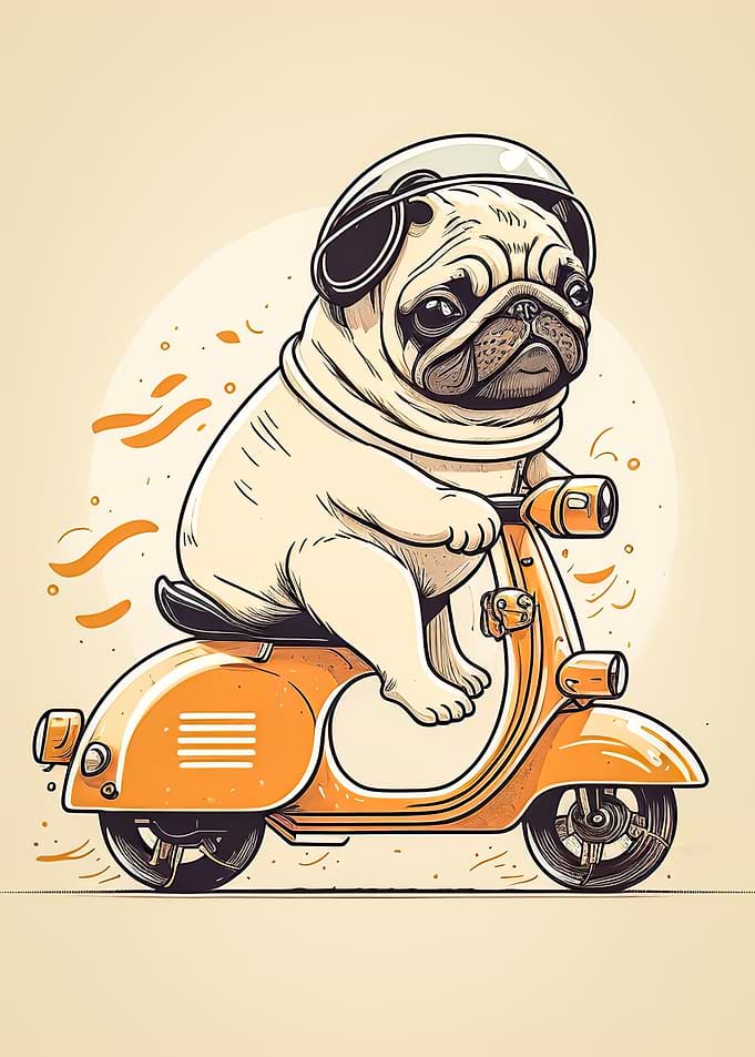 Cute Dog Riding a bike