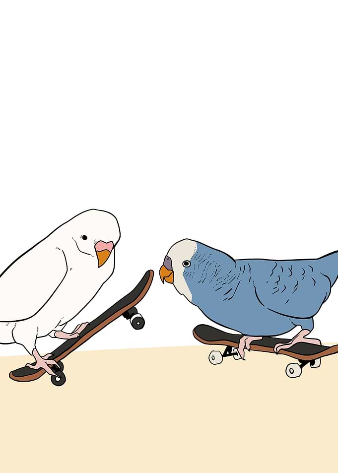 skateboard bird