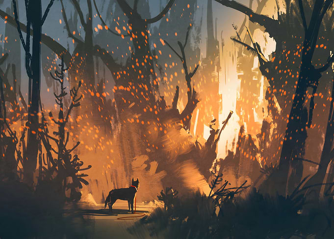 forest