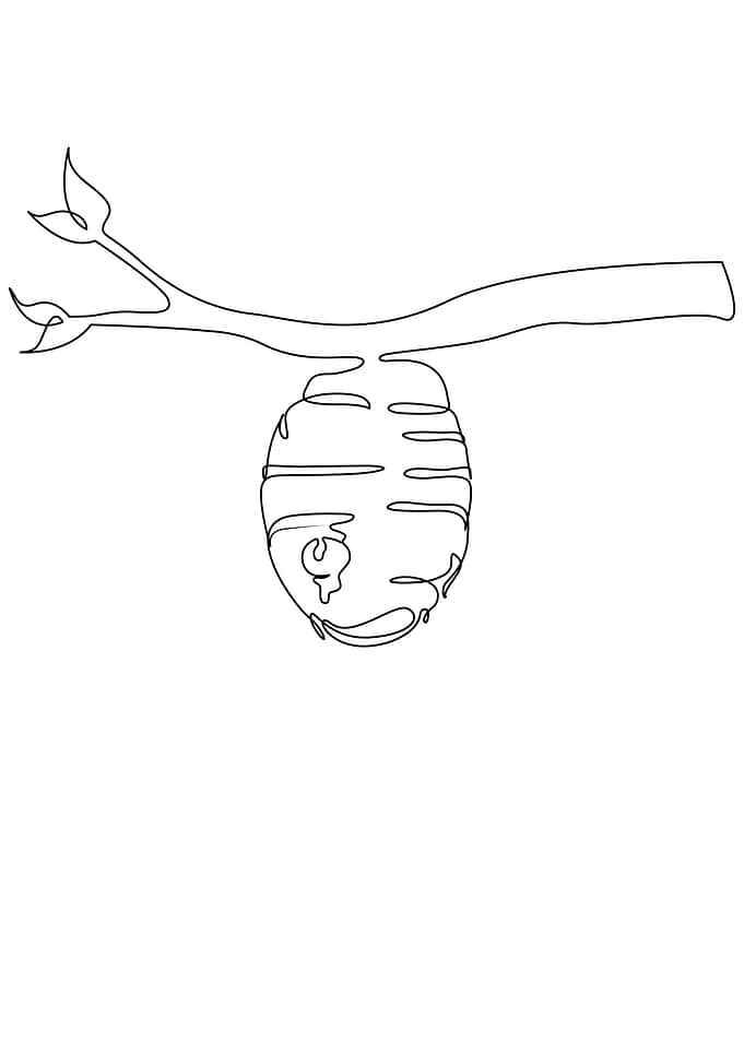 Honeycomb line drawing