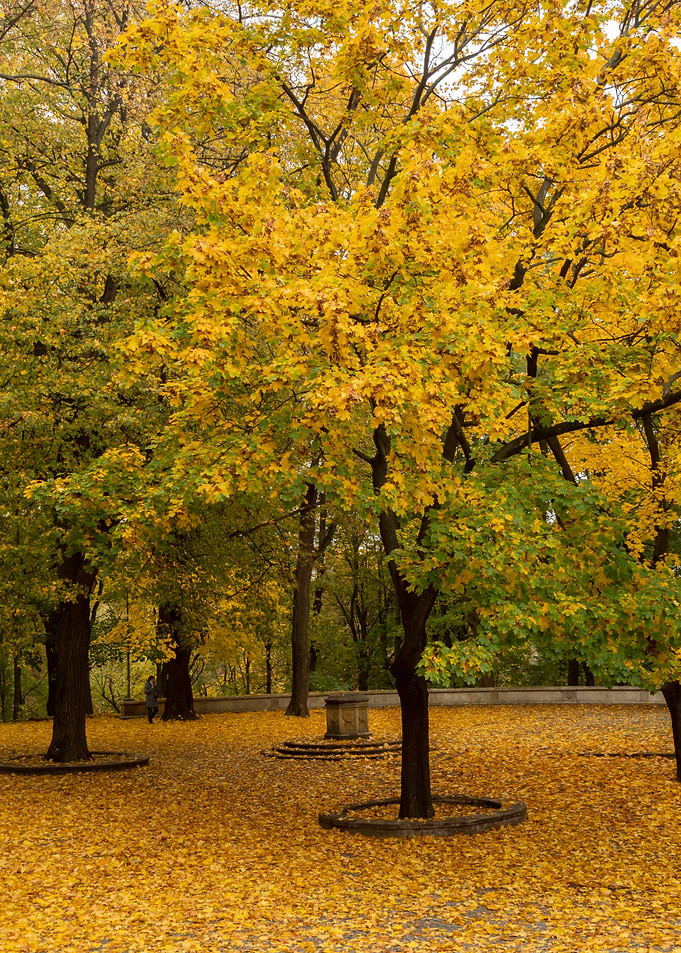 Fall In The Town
