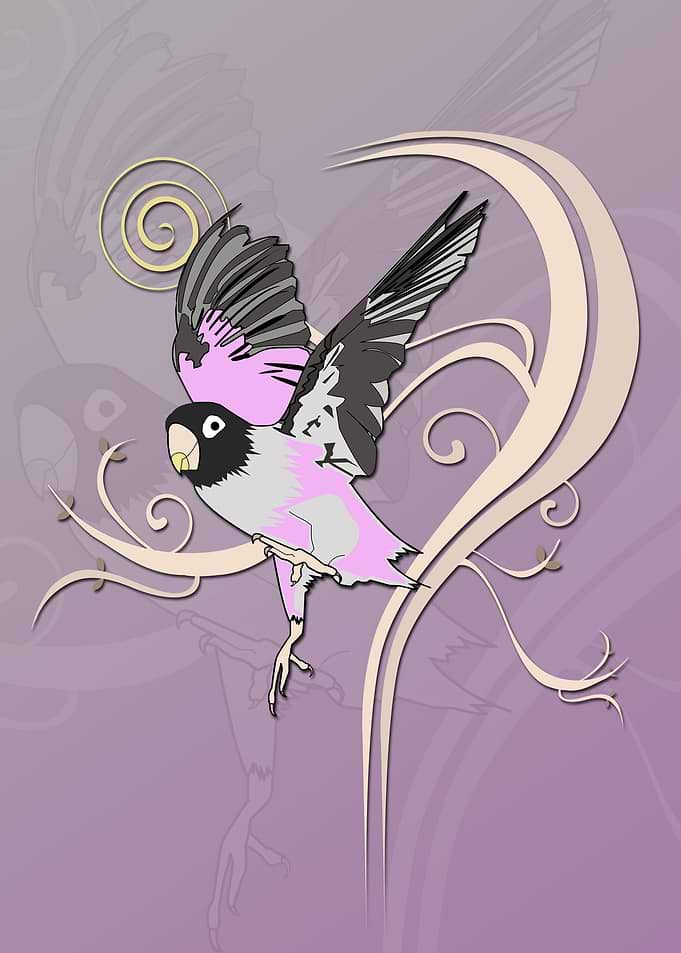 Love Bird