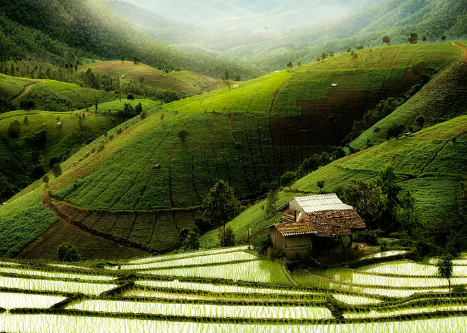 Natures