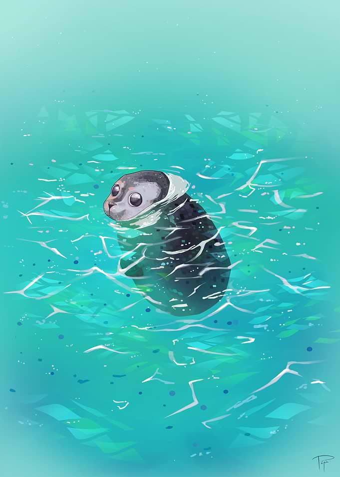 Little Seal