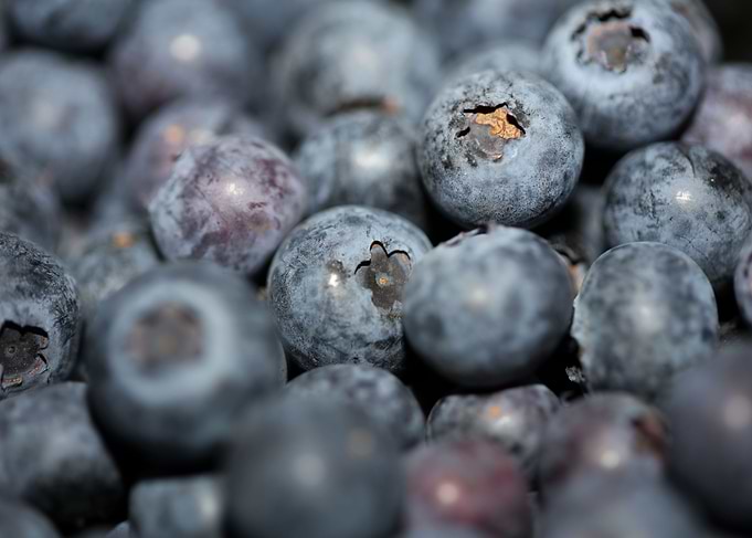 Fresh blueberries close up