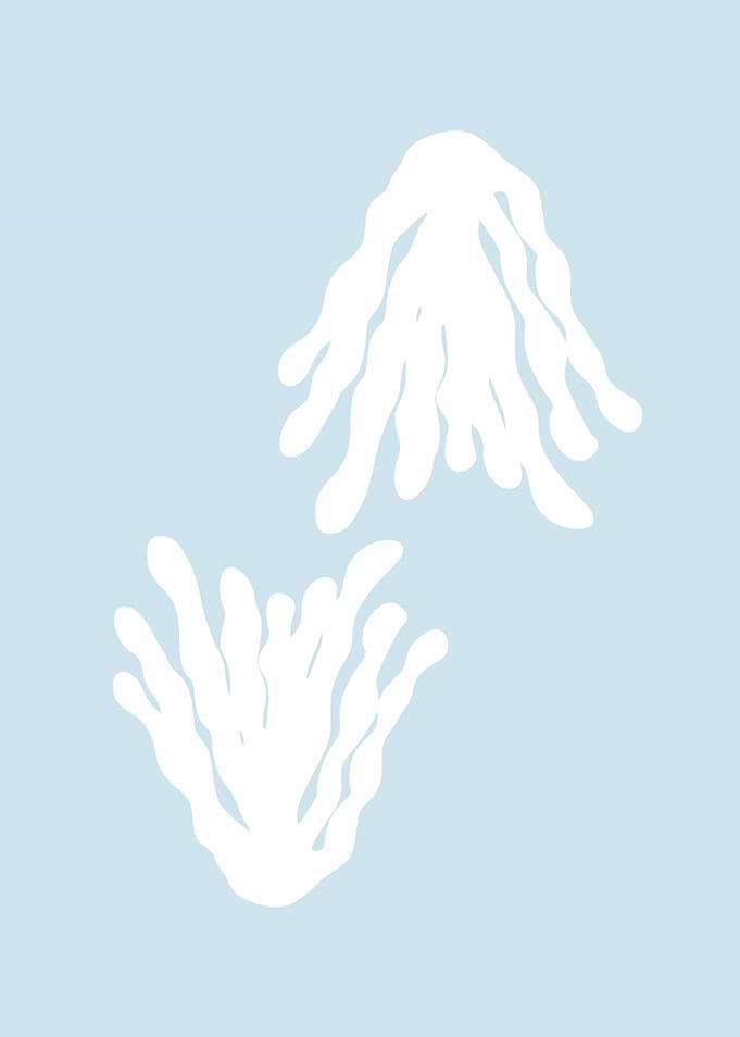 botanical 1