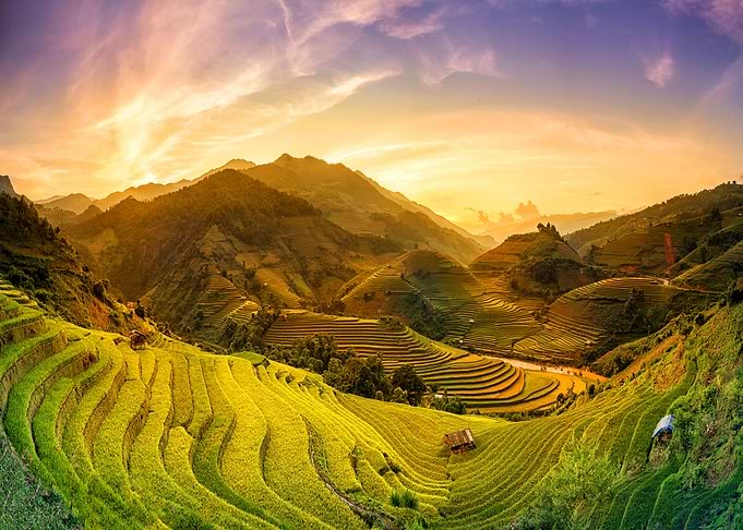 Natures