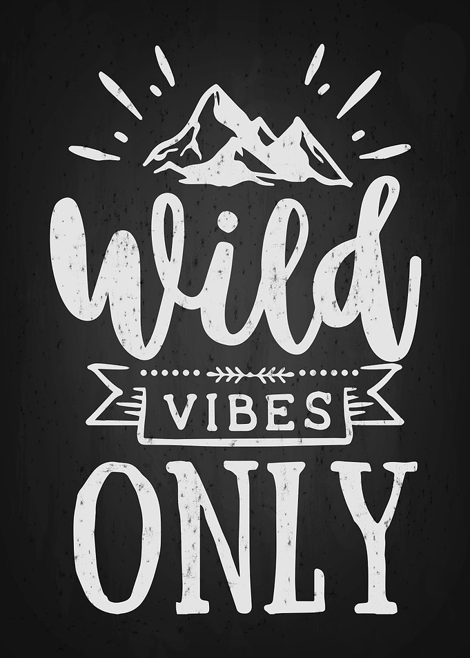 Wild Vibe