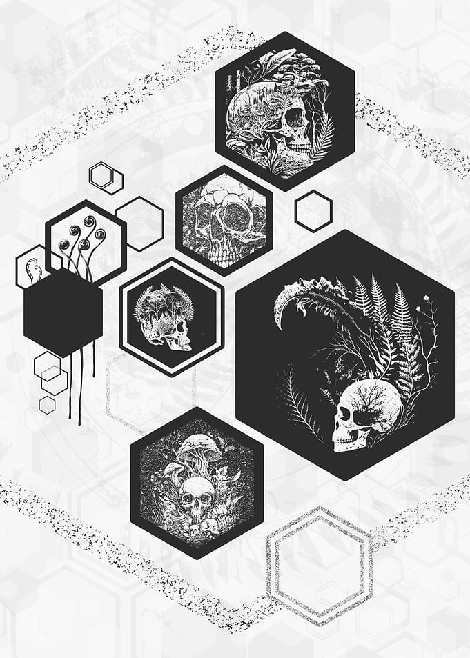 Hexagons Ferns