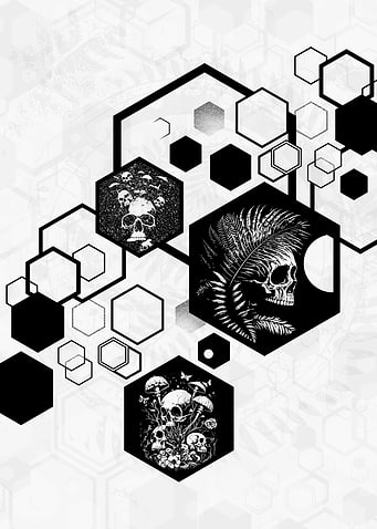 Hexagons Ferns