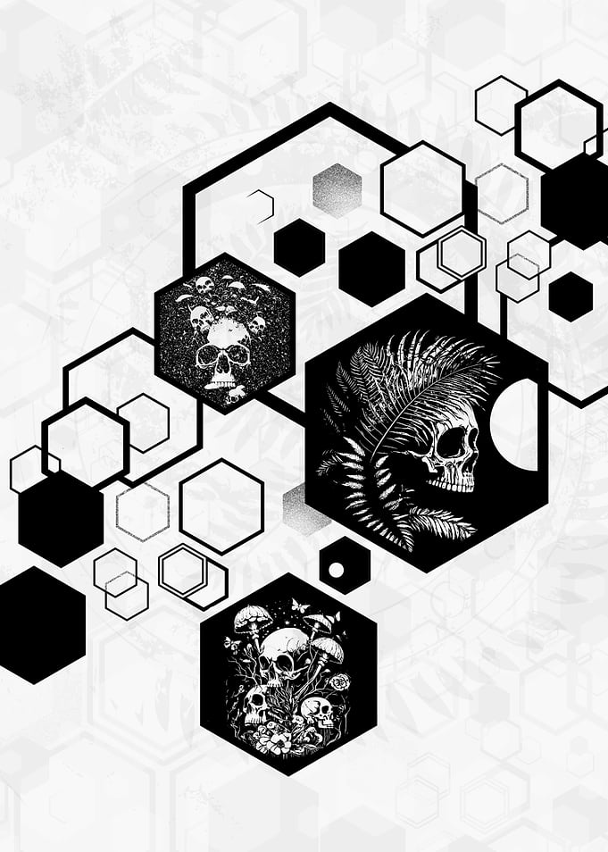 Hexagons Ferns