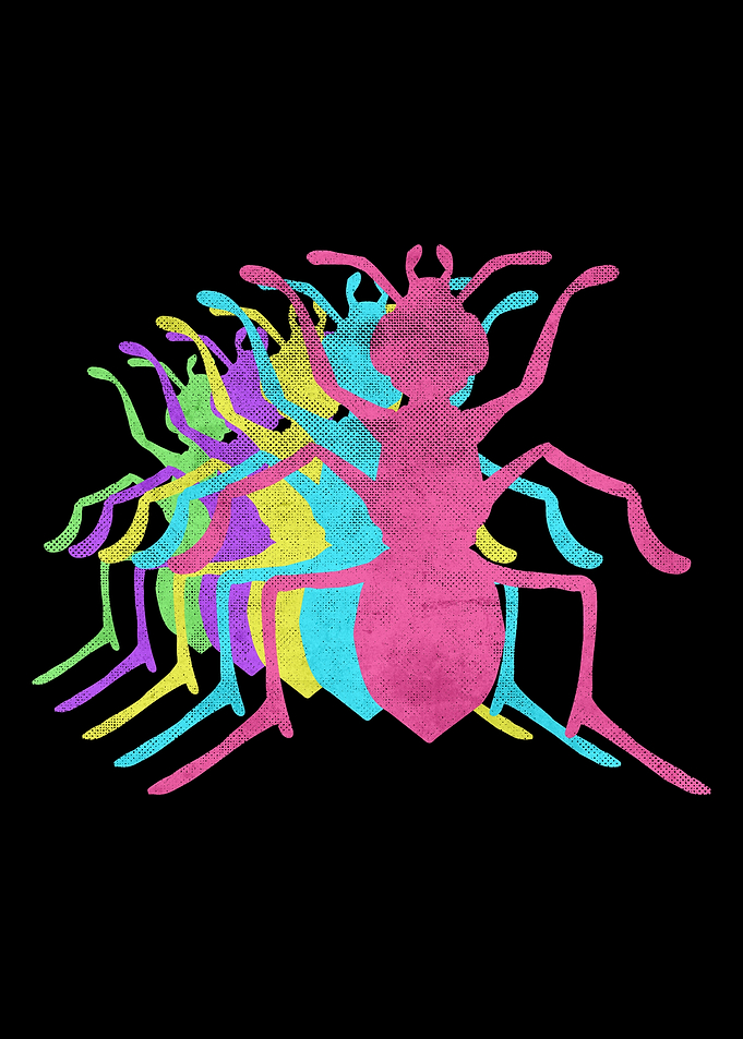 Ant