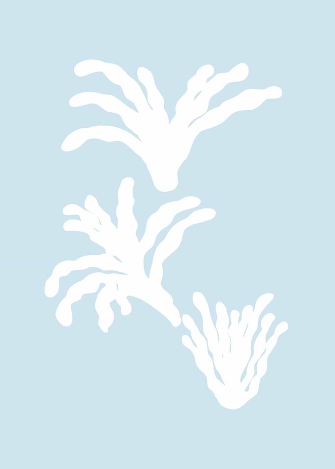 botanical 5