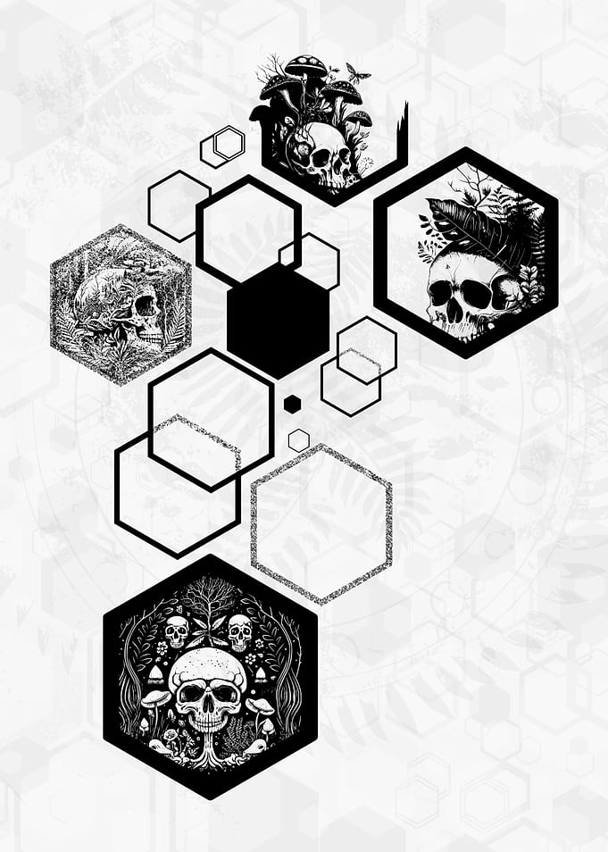 Hexagons Ferns