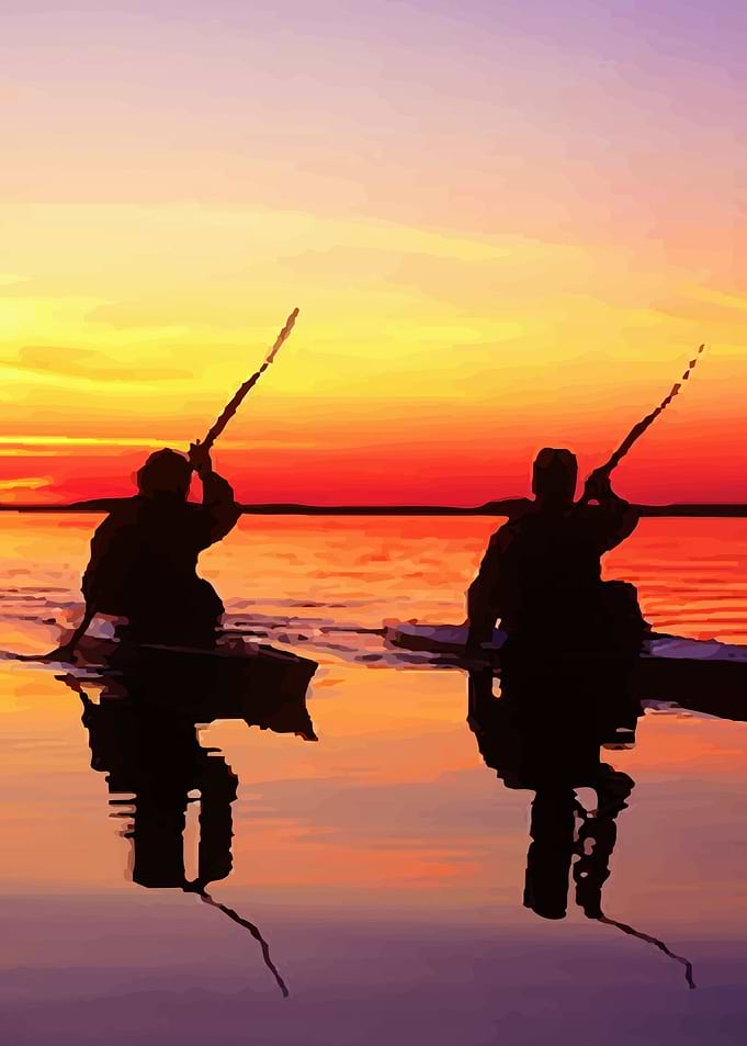 kayaks