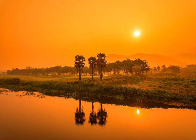 Natures