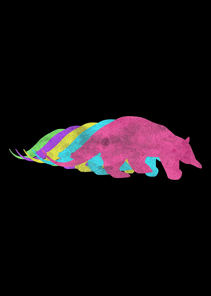 Anteater