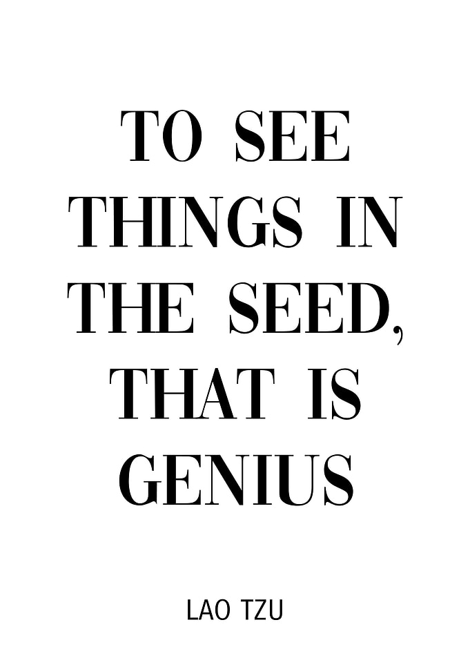 Lao Tzu Quote