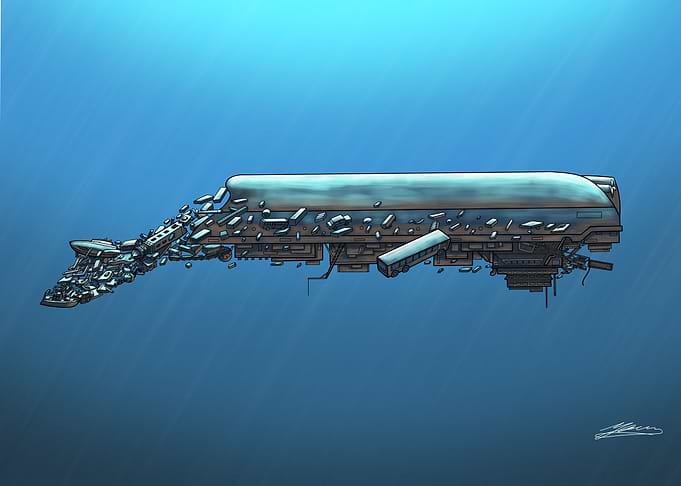 boat whale