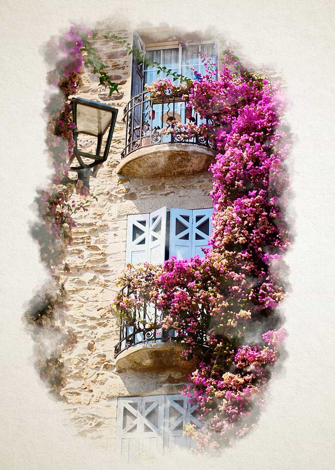 Flowers Bormes Les Mimosas