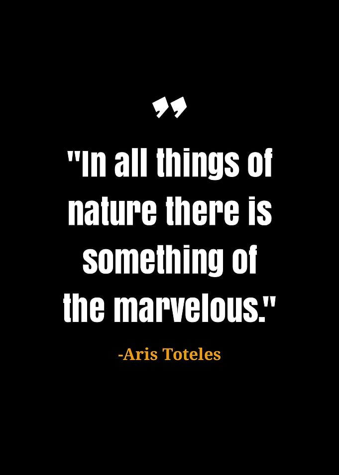 Aristoteles quotes