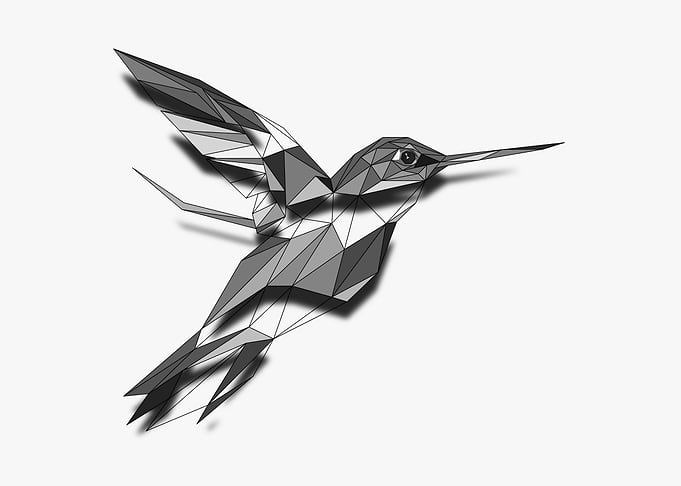 Kingfisher Half Wireframe
