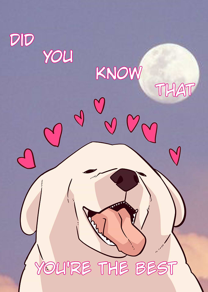 wholesome dog meme