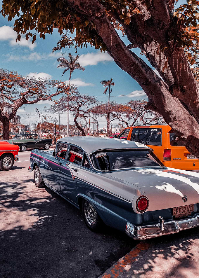 Vintage Car