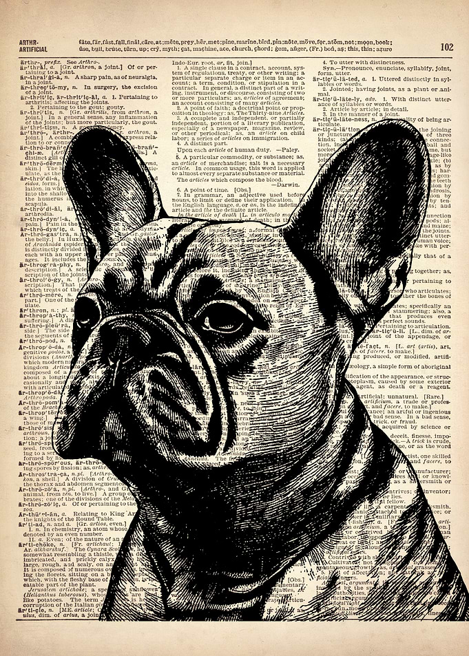 FRENCH BULLDOG ART