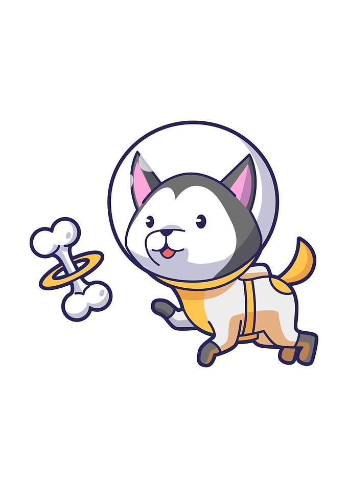Funny Cat Astronaut