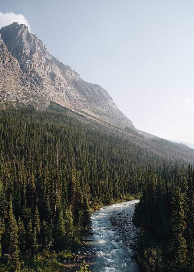 Jasper National Park