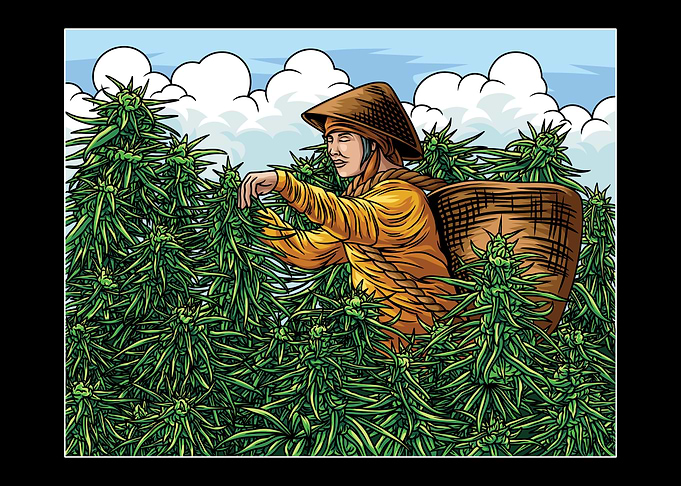 Weeds Farmer Illustration