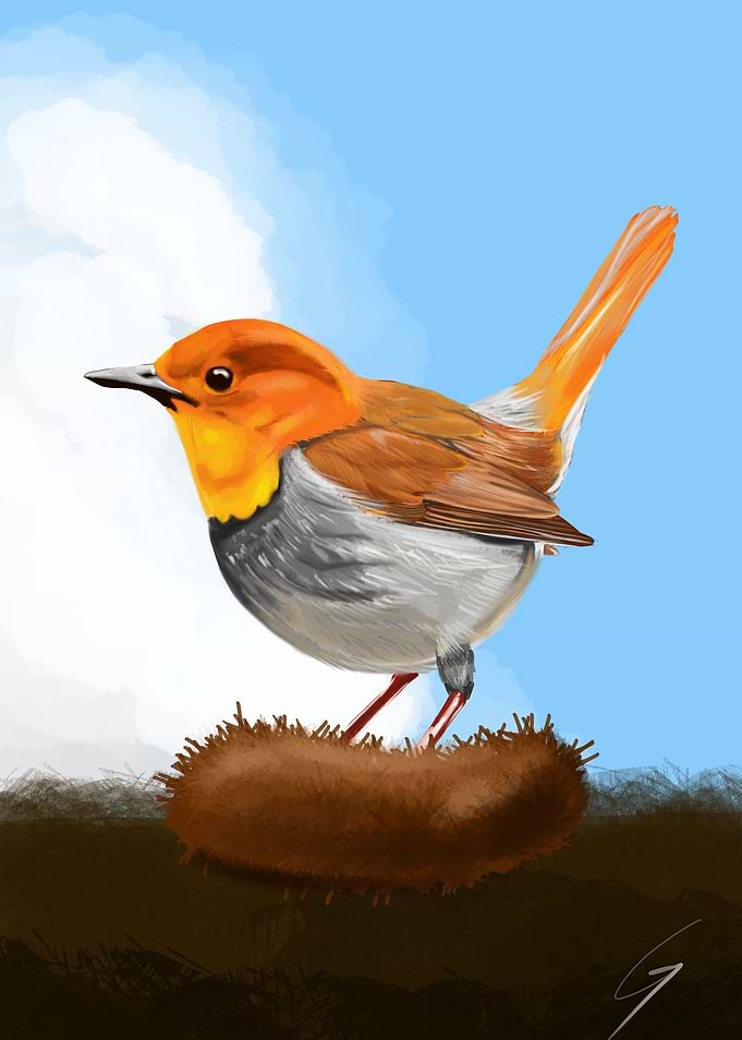Bird 1