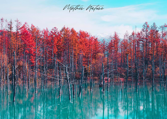 Mother Nature