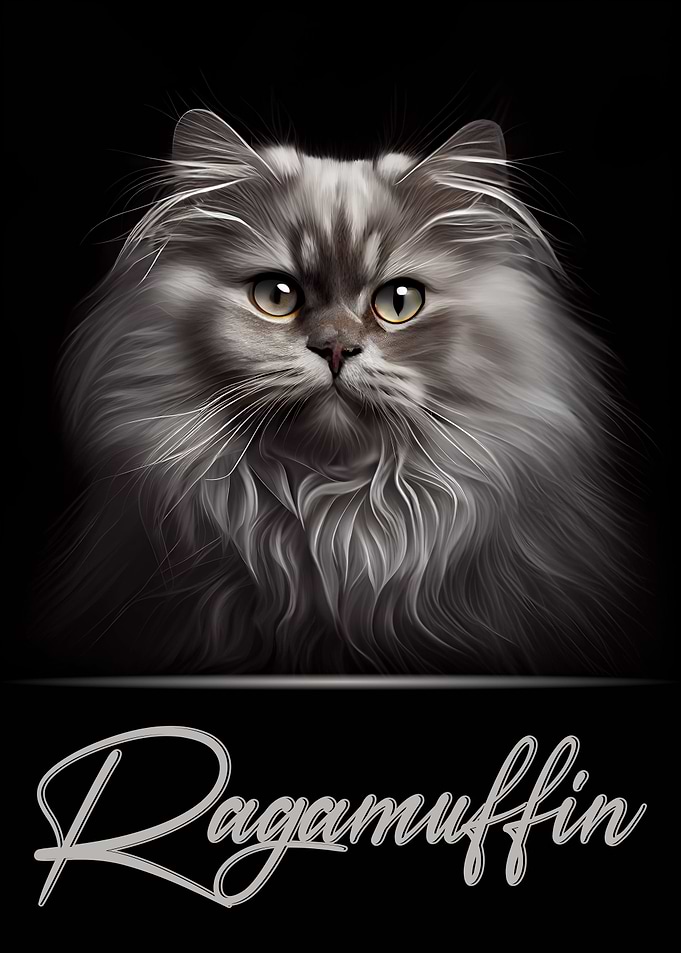Ragamuffin