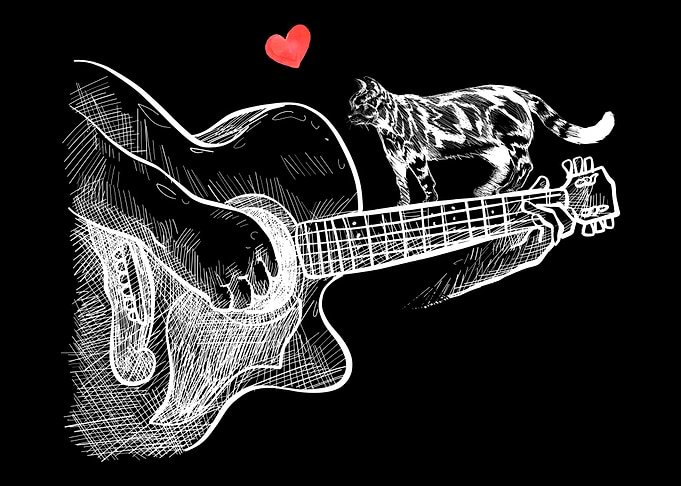Guitarist Shorthair
