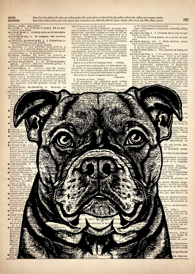 American Bully dog art