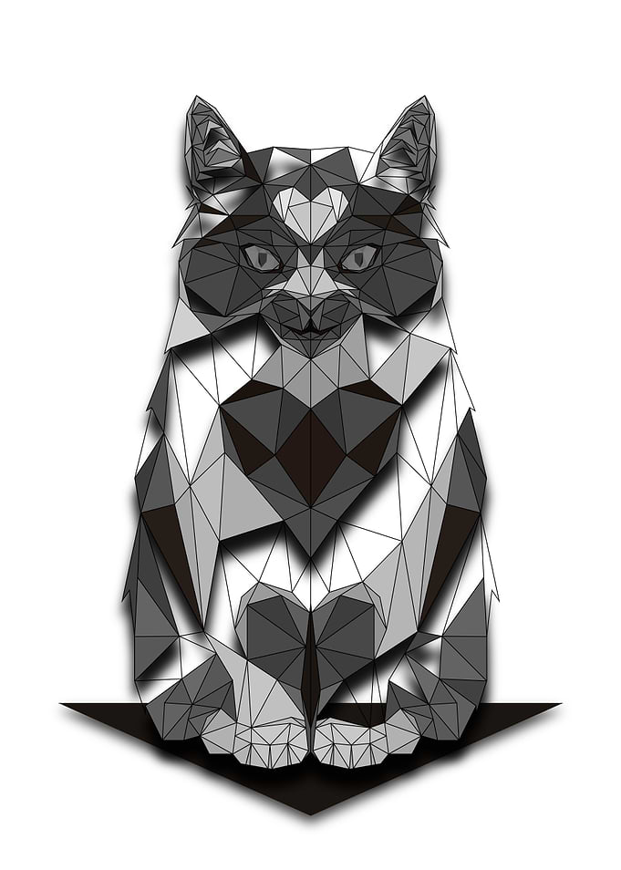 Cat Half Wireframe Lowpoly