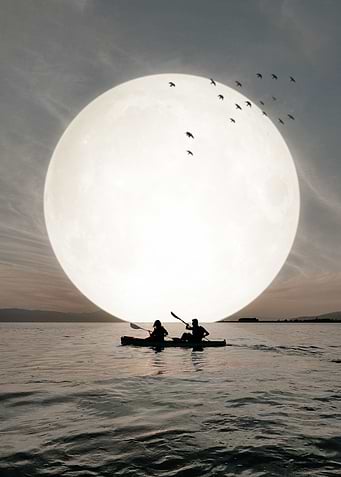 Moonlight
