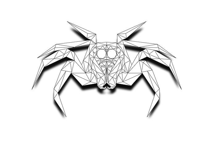 Spider Lowpoly Wireframe