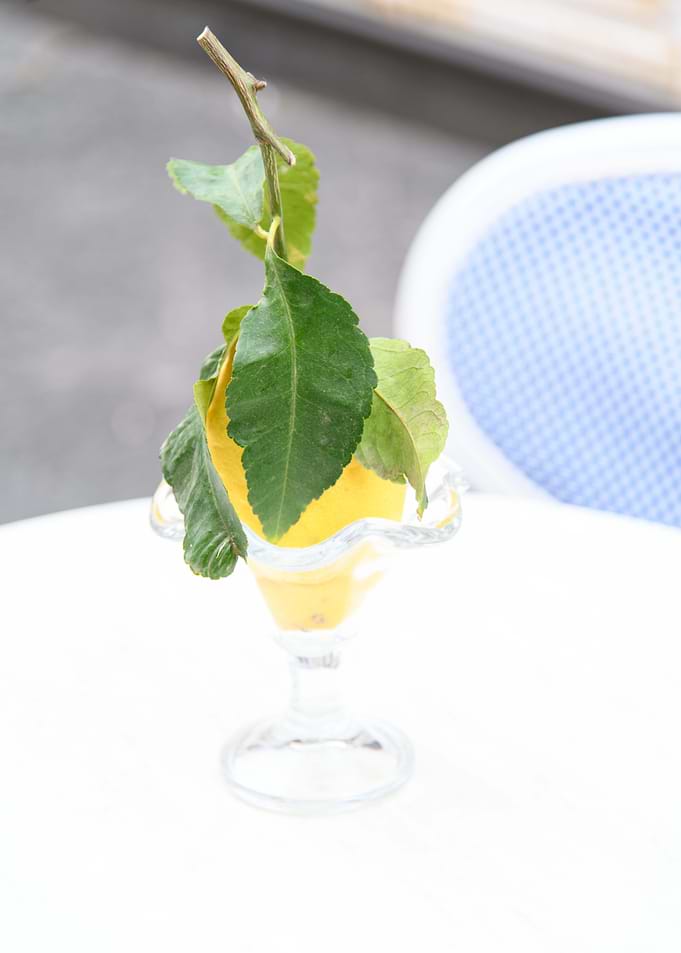 Amalfi Lemon Dream 1