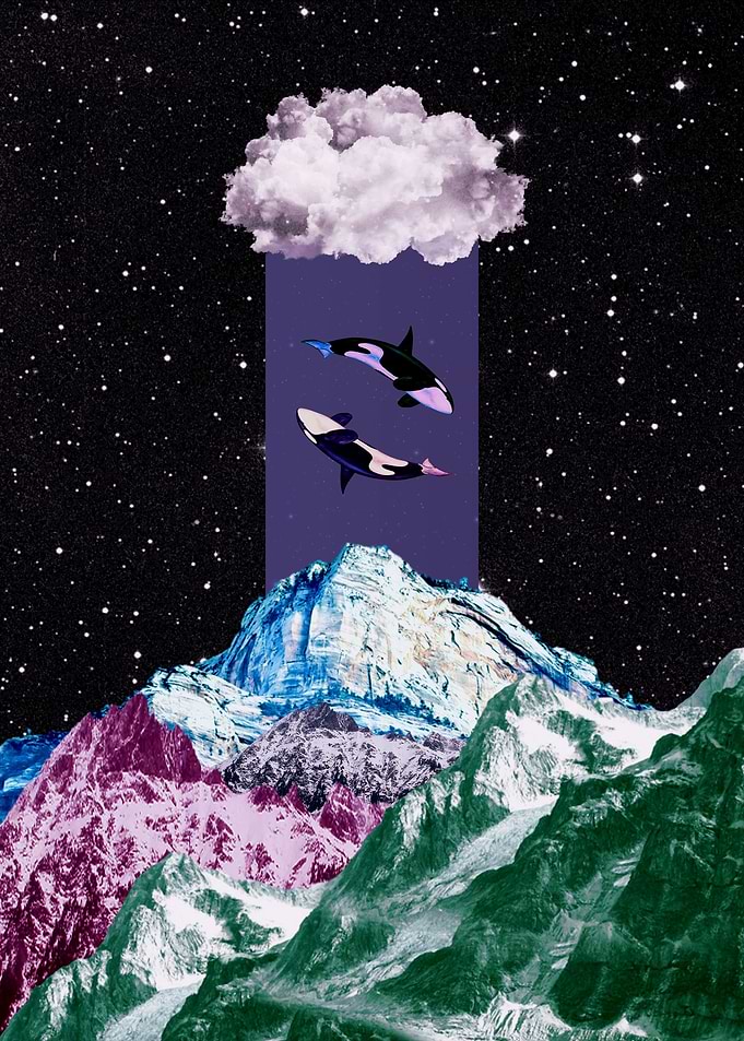 Ying Yang in space