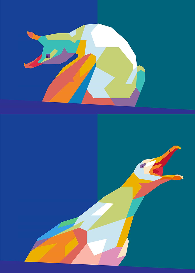 BIRD MEME