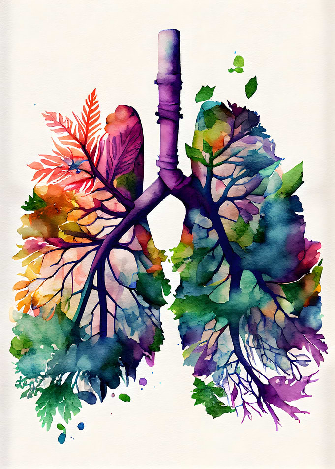 Colorful Human Lungs