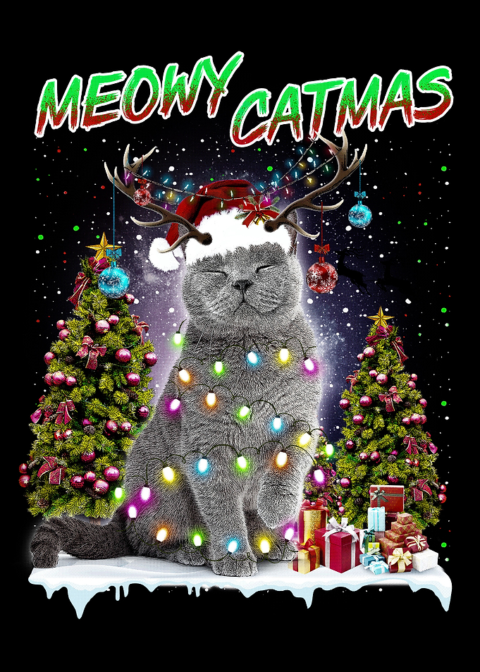 brilliant shorthair catmas