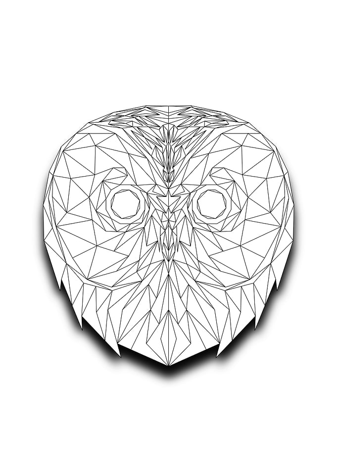 Owl Lowpoly Wireframe