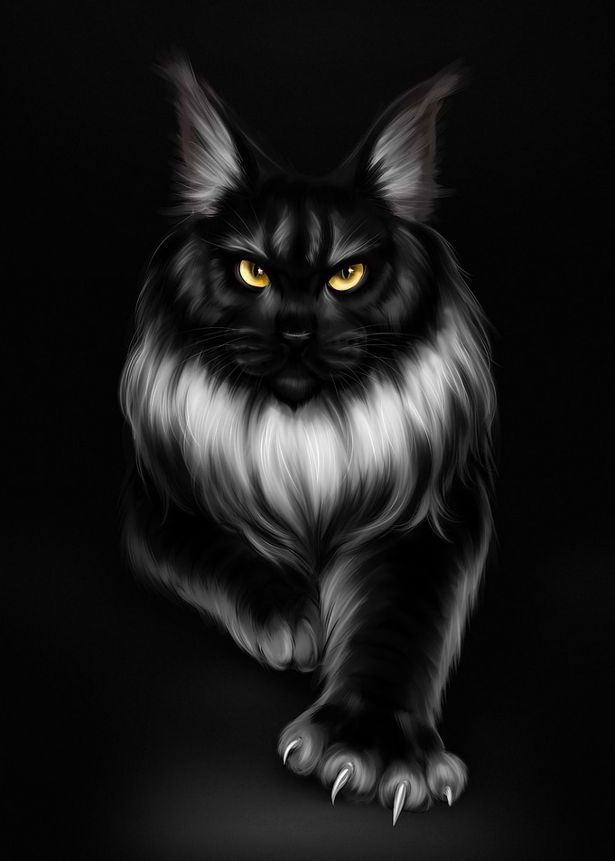 Cute Smooth Cat