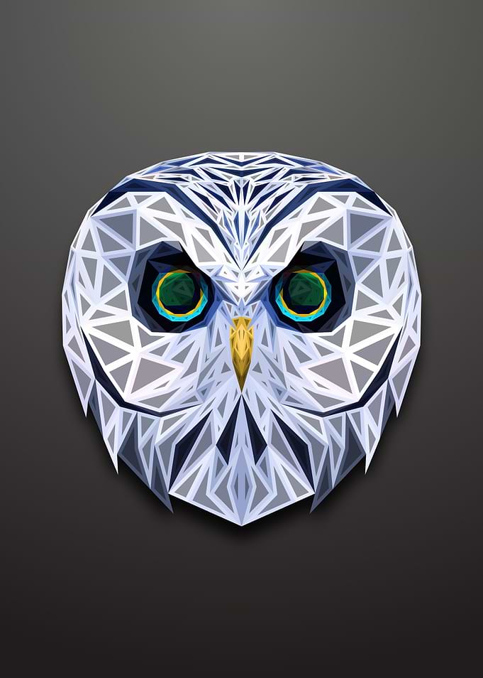 Owl Lowpoly Engraved