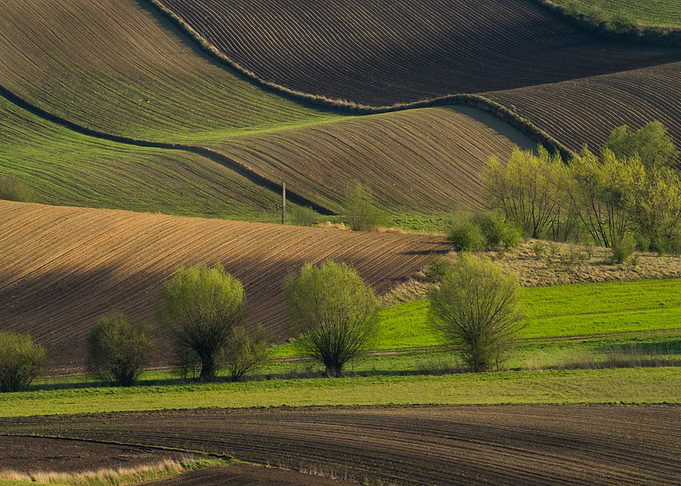 Land Patchwork